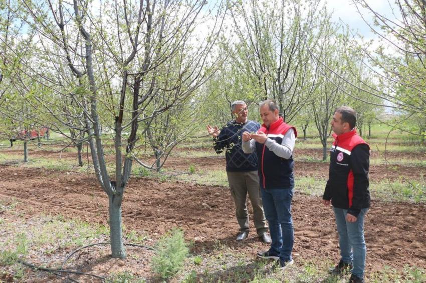 Futbol sahalarını bıraktı, vişne bahçesi kurdu! 12 dekarda dev girişim