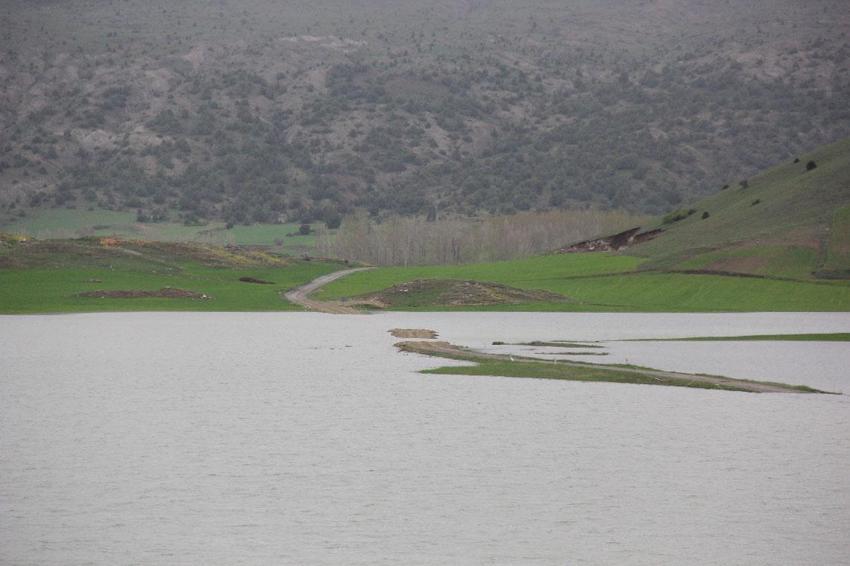 Sivas'ta kar sularının erimesiyle tarım arazileri sular altında kaldı, 30 hane ile ulaşım kesildi