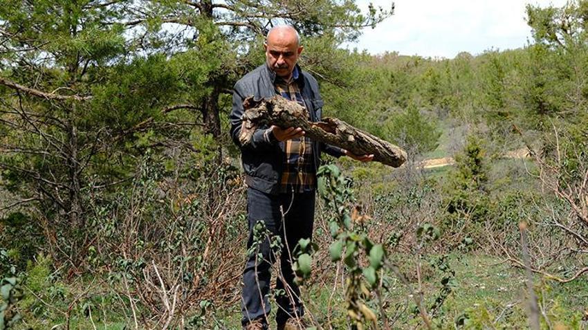 Doğadan topladıklarıyla üretiyor! Emekli olduktan sonra bahçesini sanat atölyesine çevirdi