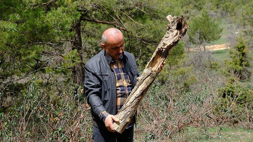 Doğadan topladıklarıyla üretiyor! Emekli olduktan sonra bahçesini sanat atölyesine çevirdi
