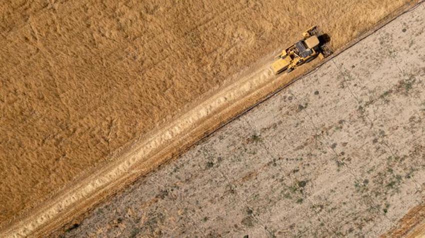 1,1 milyon dekar hazine arazisi çiftçinin oldu! 2 yıl ekilmeyen arazi için kiralama dönemi başladı: '332 milyon liralık dev gelir'