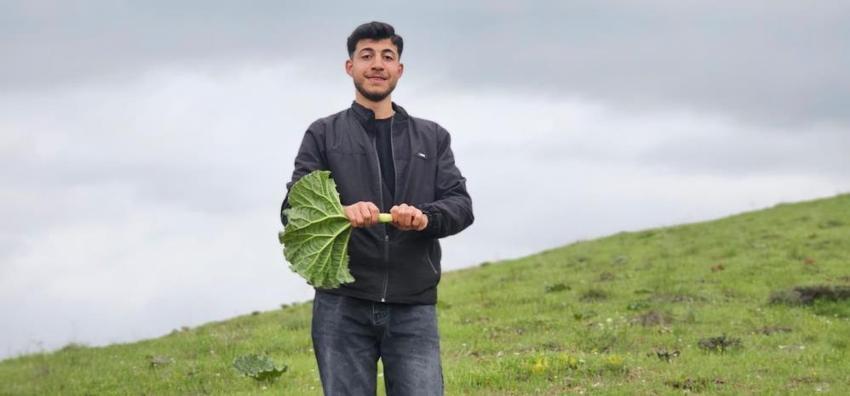 Dağlara tırmanıyorlar, toplamak için saatlerce yürüyorlar! Vatandaşın yeni gelir kapısı oldu