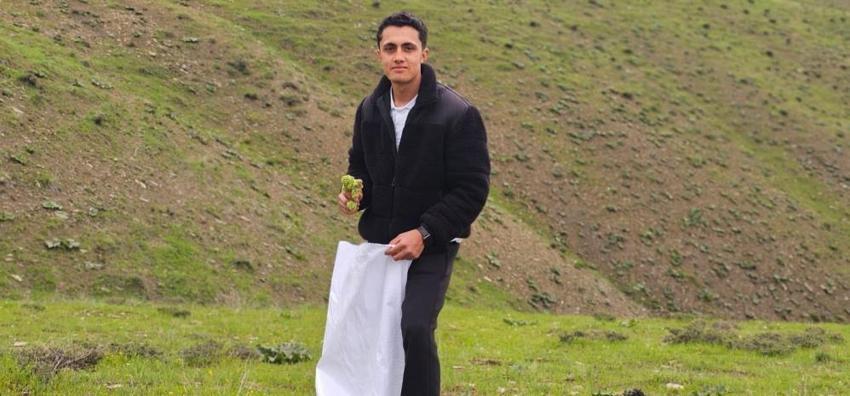 Dağlara tırmanıyorlar, toplamak için saatlerce yürüyorlar! Vatandaşın yeni gelir kapısı oldu