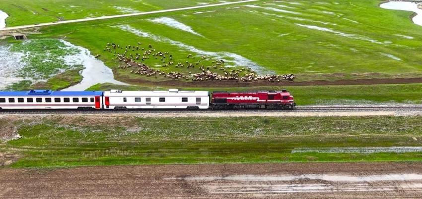 Yağışlar Muş Ovası’na hayat verdi: Ortaya çıkan manzara mest etti
