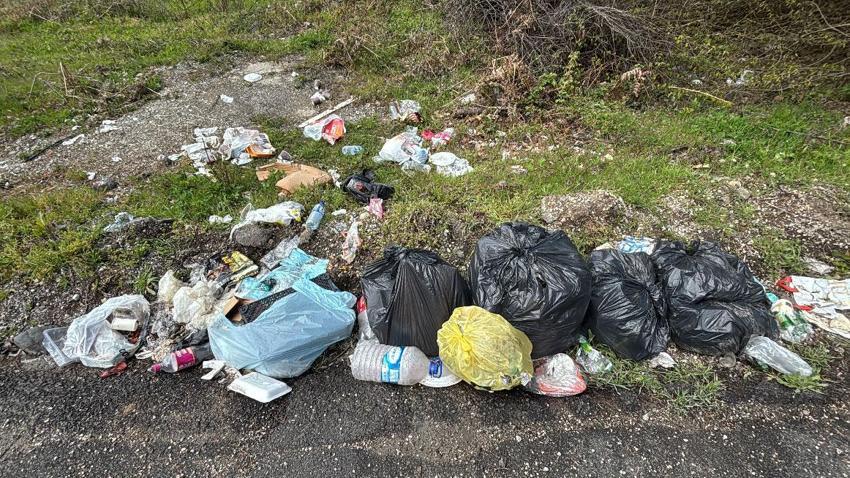 Doğa harikası Gölcük Tabiat Parkı'nda pes dedirten görüntü: ‘Çöp atmayın' tabelasının altını çöple doldurdular