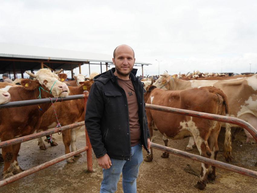 Kurban Bayramı hareketliliği Kastamonu'da başladı: 850 kilogramlık tosun 340 bin liraya alıcı buldu