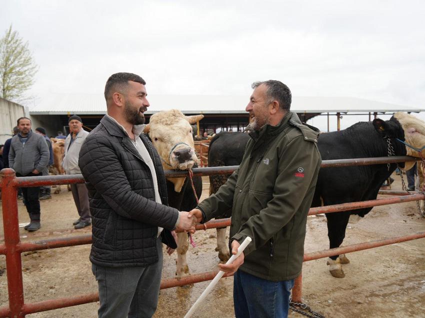 Kurban Bayramı hareketliliği Kastamonu'da başladı: 850 kilogramlık tosun 340 bin liraya alıcı buldu