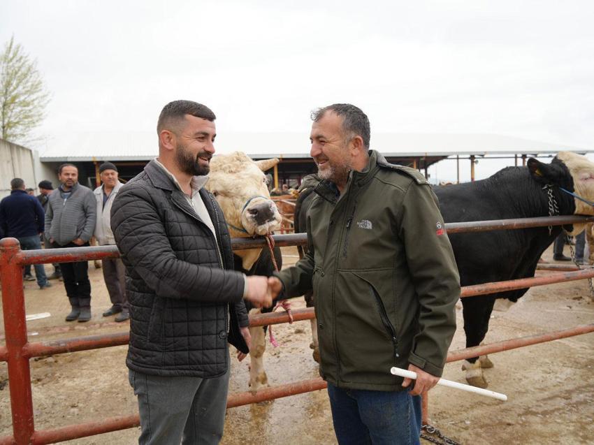 Kurban Bayramı hareketliliği Kastamonu'da başladı: 850 kilogramlık tosun 340 bin liraya alıcı buldu