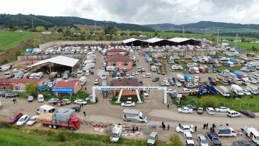 Kurban Bayramı hareketliliği Kastamonu'da başladı: 850 kilogramlık tosun 340 bin liraya alıcı buldu