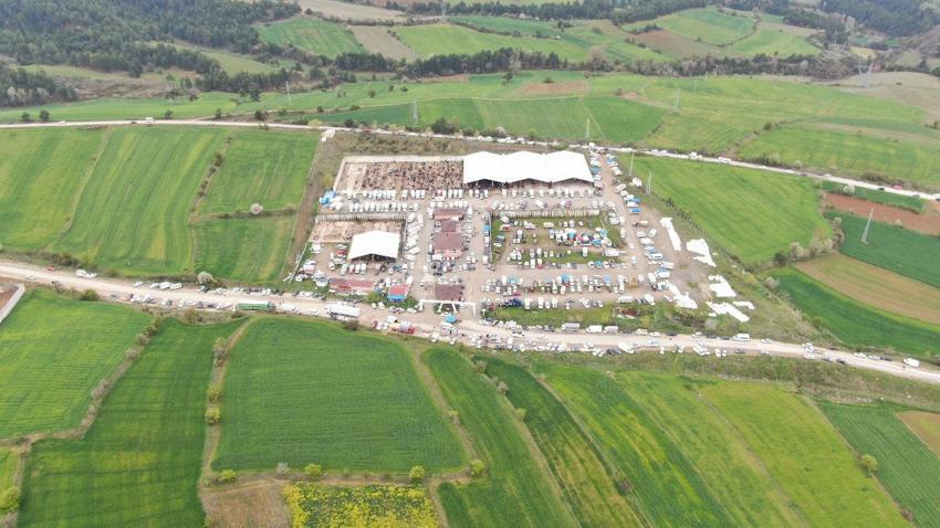 Kurban Bayramı hareketliliği Kastamonu'da başladı: 850 kilogramlık tosun 340 bin liraya alıcı buldu
