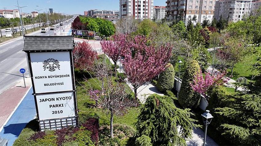 Burası Japonya değil! Kentte Sakura mevsimi resmen başladı