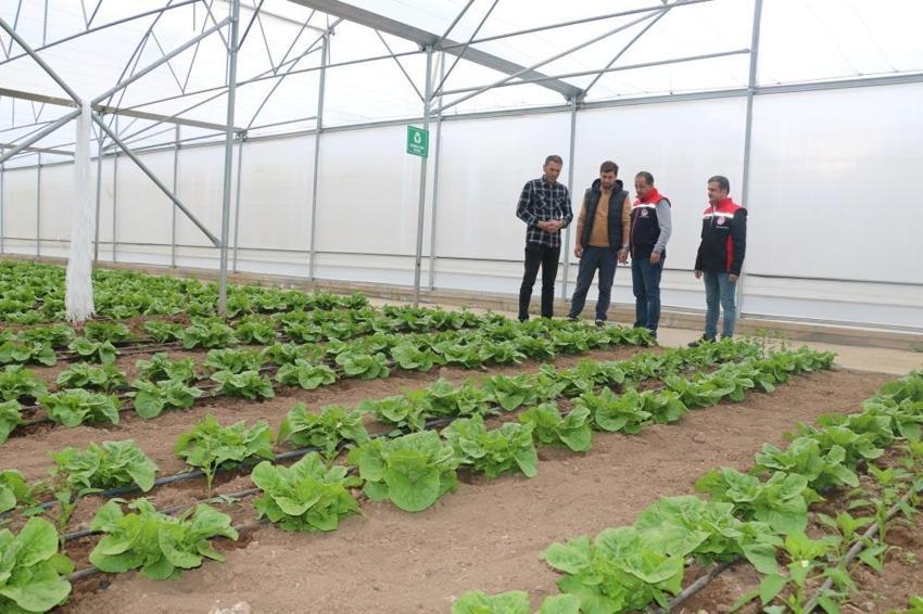 Erzincan’da kurdular, çevre iller sıraya girdi! 3 farklı ürün hasadıyla rekor kırdılar