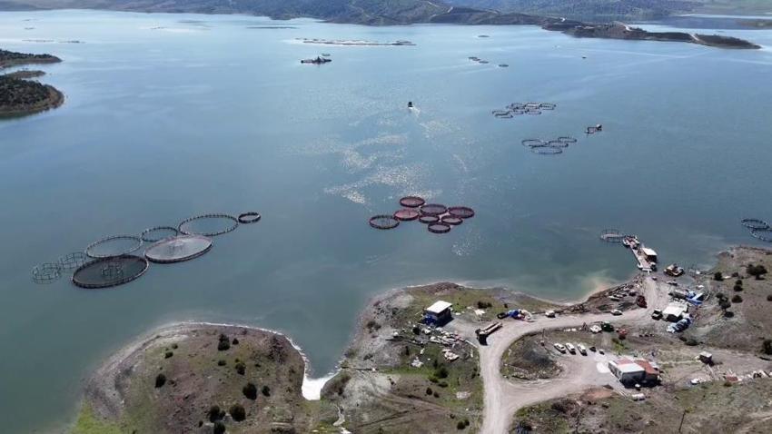 Yozgat'ta yapılacak son işten 11 yılda servet kazandı! Danimarka bu tesisi mesken tuttu, talep yağıyor