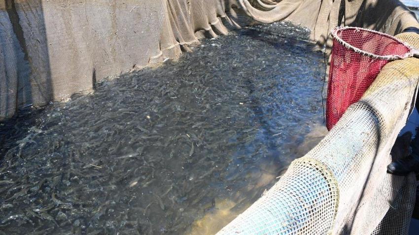 Yozgat'ta yapılacak son işten 11 yılda servet kazandı! Danimarka bu tesisi mesken tuttu, talep yağıyor