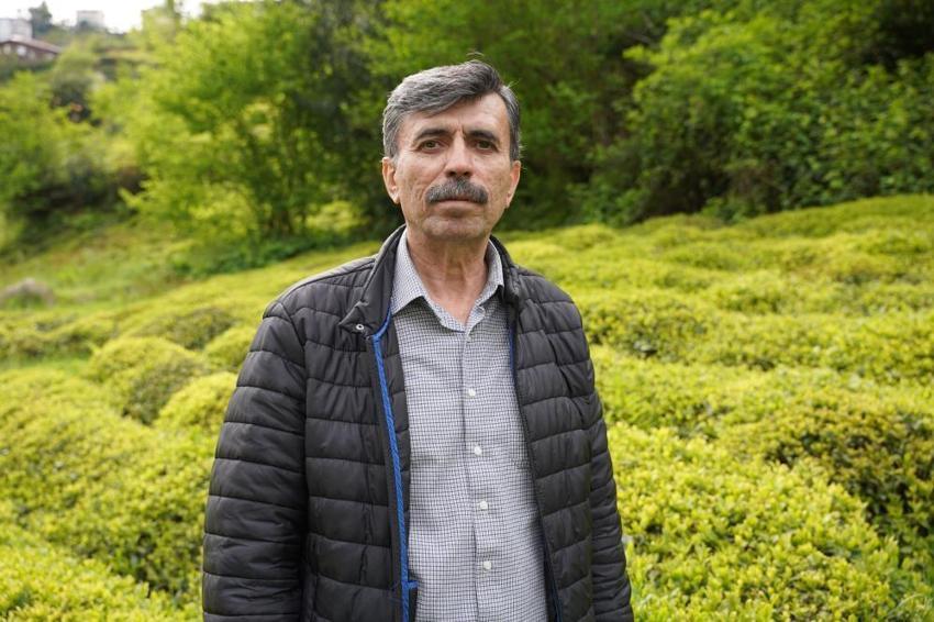 Karadeniz'de 2026 yaş çay sezonu için tarih verildi: Gözler yeni fiyatta!