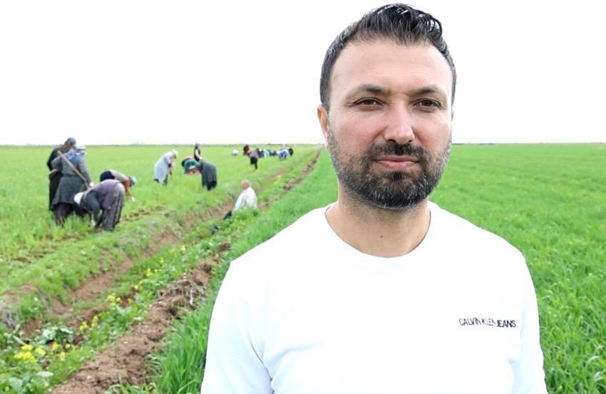 Aksaray’da 'Beyaz Altın' hasadı başladı: Rekoltede 2 kat artış bekleniyor!