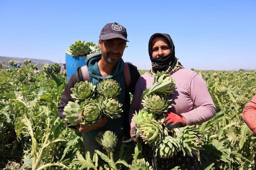 Aydın'da mahallede üretilip dünyaya satılıyor: Öğleden sonra değeri kat kat artıyor