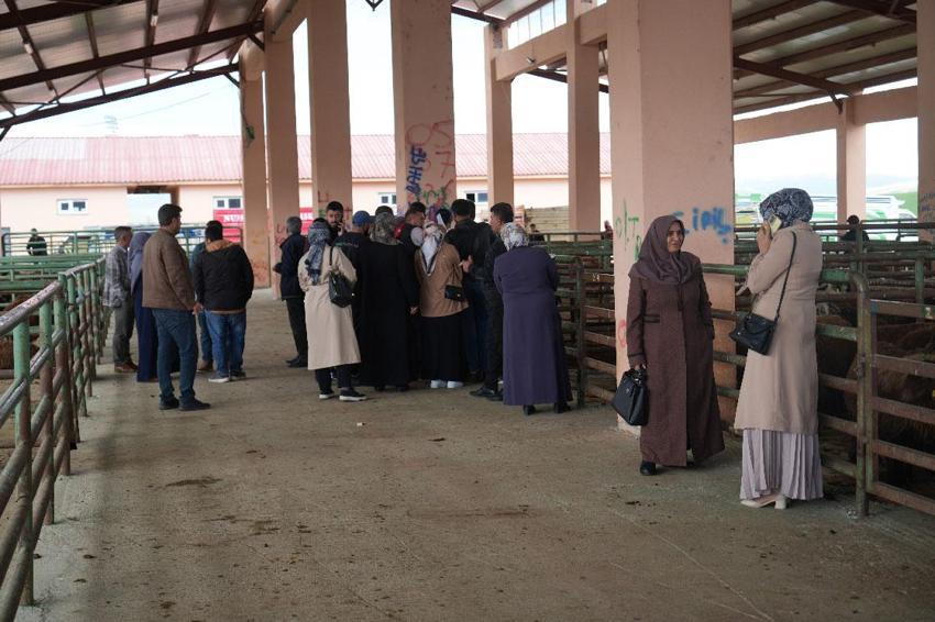 Kadın üreticilere 3 bin küçükbaş hayvan desteği! Proje kapsamında dağıtımlar başladı