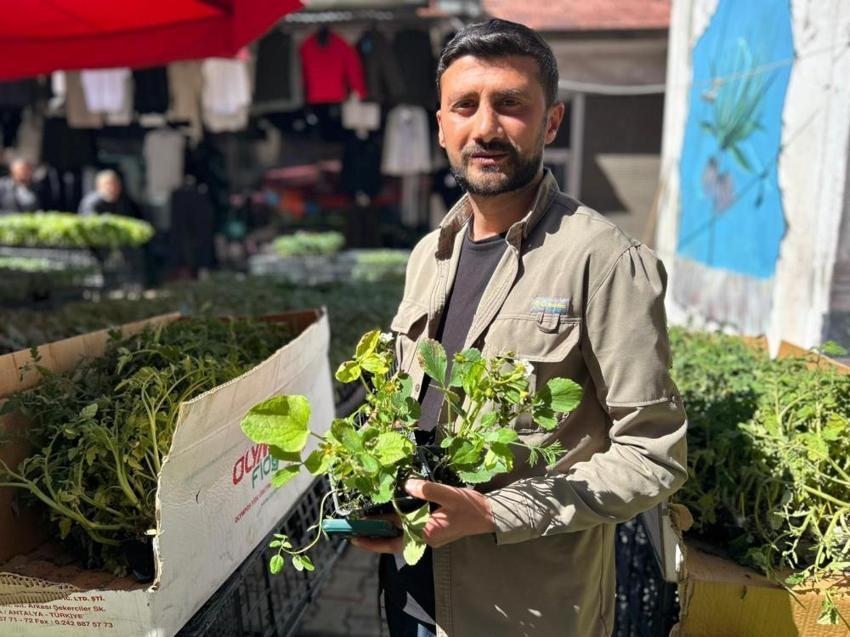Van'da talep patladı! 2 ay sürecek, tanesi 30 TL'den kapış kapış gidiyor
