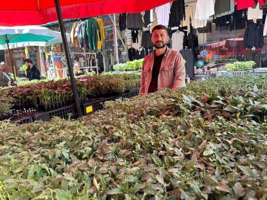 Van'da talep patladı! 2 ay sürecek, tanesi 30 TL'den kapış kapış gidiyor
