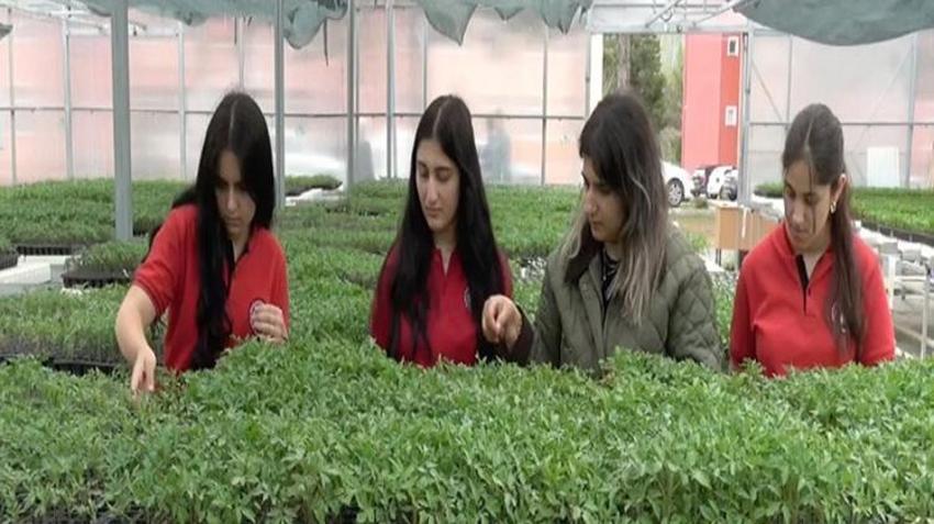 Öğrenciler başardı, tam 250 bin adet! Erzincan'da dev üretim: Satışlar başlıyor