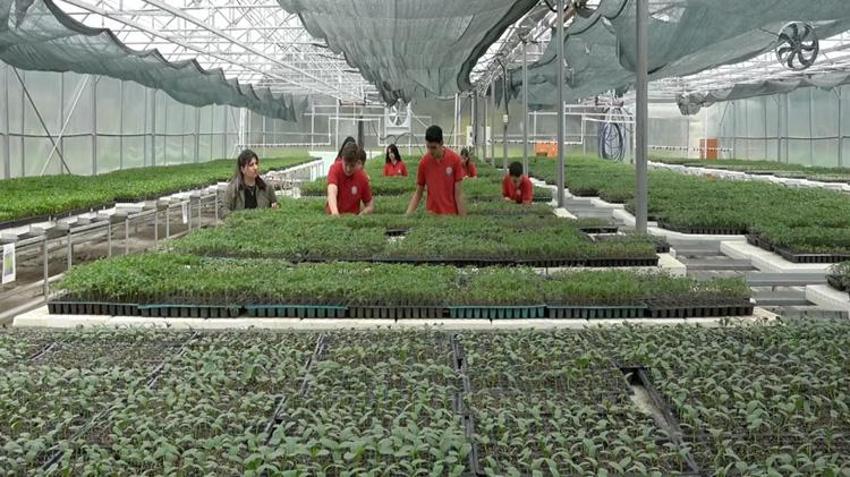 Öğrenciler başardı, tam 250 bin adet! Erzincan'da dev üretim: Satışlar başlıyor