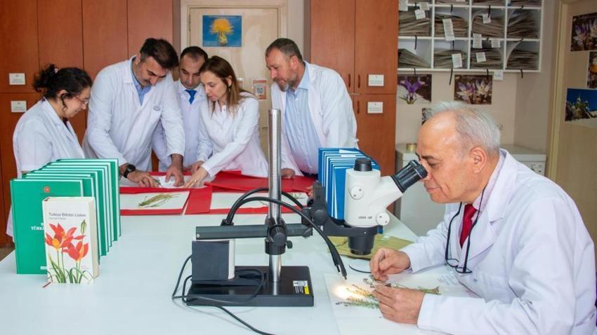 Konya'da Selçuk Üniversitesi akademisyenleri 4 yeni bitki türü keşfetti!