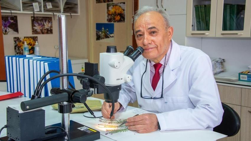 Konya'da Selçuk Üniversitesi akademisyenleri 4 yeni bitki türü keşfetti!