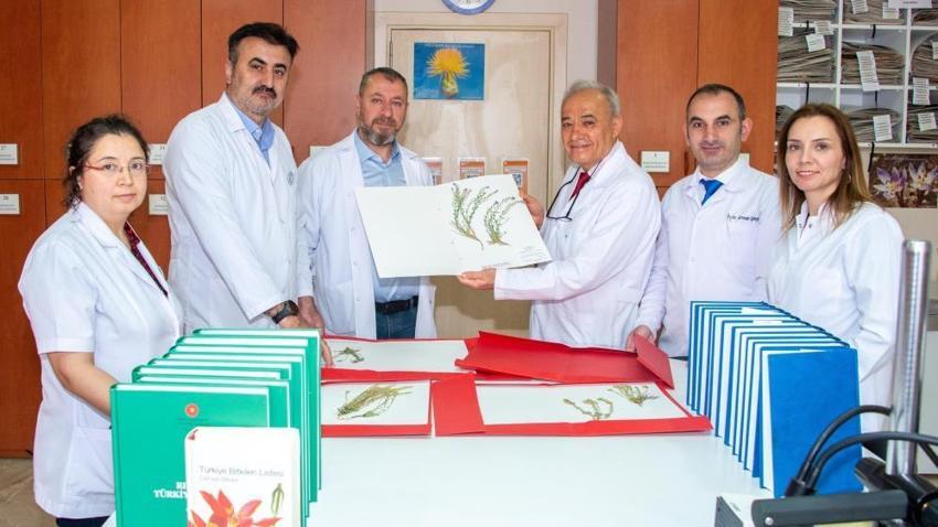 Konya'da Selçuk Üniversitesi akademisyenleri 4 yeni bitki türü keşfetti!