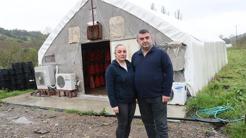Yalova'da işçiydi aldığı eğitimle patron oldu! Şimdi hasat edip satıyor