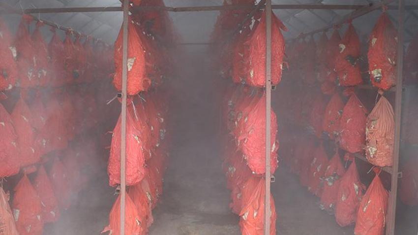 Yalova'da işçiydi aldığı eğitimle patron oldu! Şimdi hasat edip satıyor