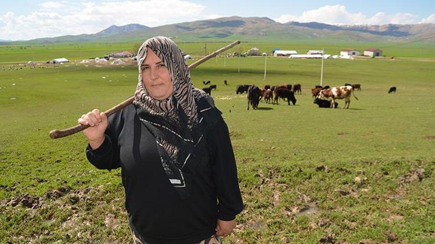 Muşlu kadın girişimci devlet desteği aldı kırsalda işe başladı: 15 inekle başladı, 9 ayda sürüsünü ikiye katladı