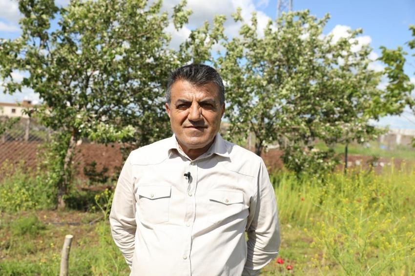 10 bin yabani ceviz aşıyla verimli hale getiriliyor! Diyarbakır Büyükşehir Belediyesi ücretsiz aşı seferberliği başlattı