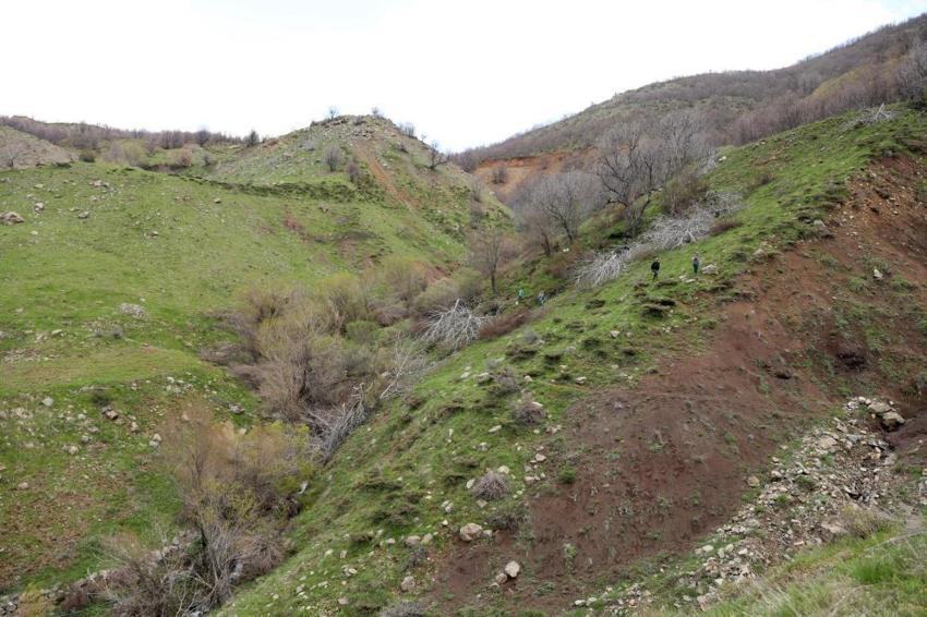 10 bin yabani ceviz aşıyla verimli hale getiriliyor! Diyarbakır Büyükşehir Belediyesi ücretsiz aşı seferberliği başlattı