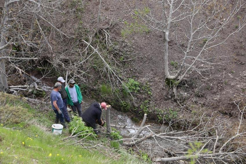 10 bin yabani ceviz aşıyla verimli hale getiriliyor! Diyarbakır Büyükşehir Belediyesi ücretsiz aşı seferberliği başlattı