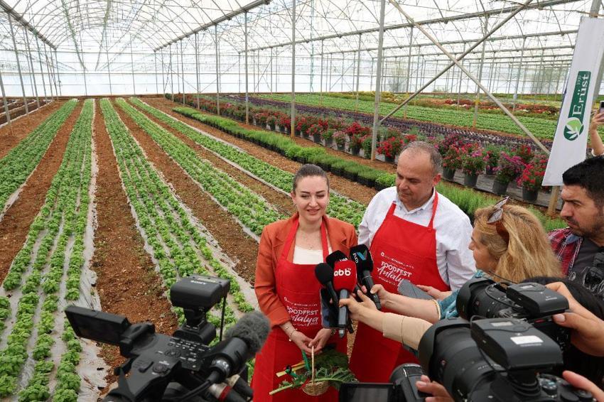 Uluslararası Antalya Foodfest Gastronomi Festivali, Akdeniz yeşillikleri hasadı ile başladı