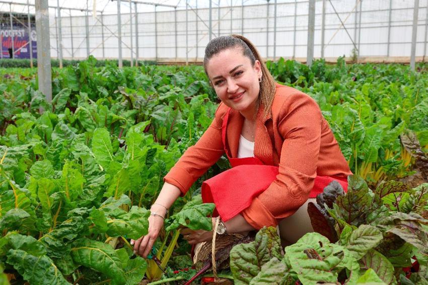 Uluslararası Antalya Foodfest Gastronomi Festivali, Akdeniz yeşillikleri hasadı ile başladı