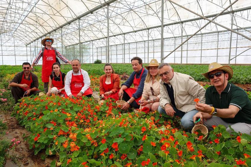 Uluslararası Antalya Foodfest Gastronomi Festivali, Akdeniz yeşillikleri hasadı ile başladı