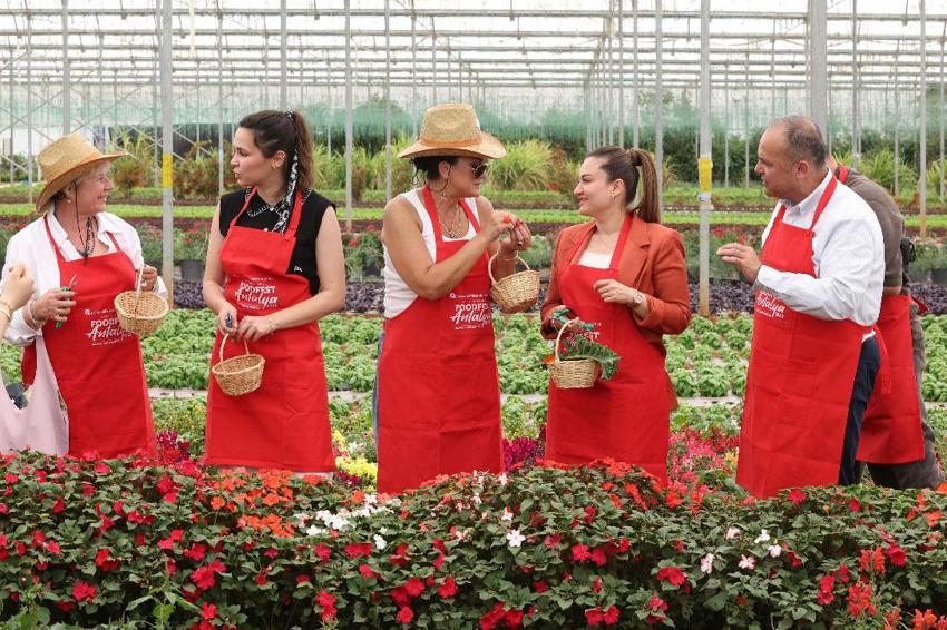 Uluslararası Antalya Foodfest Gastronomi Festivali, Akdeniz yeşillikleri hasadı ile başladı