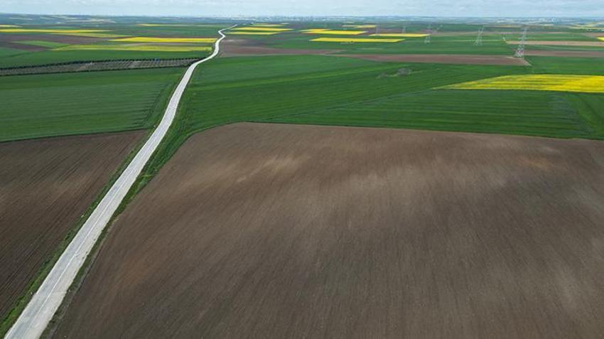 Trakya’da çiftçinin kazancı artacak! Buğday ve arpada rekor hasat kapıda