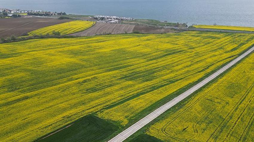 Trakya’da çiftçinin kazancı artacak! Buğday ve arpada rekor hasat kapıda