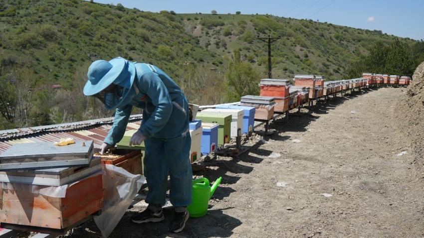 1200 bitkinin ortasında üretiyor! Ankara’da bir kanyonda başladı, tüm Türkiye’ye satıyor