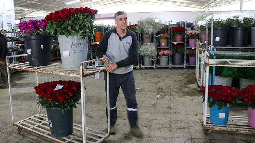 Satışlar 3 kat arttı! İzmir'den tüm Türkiye'ye gönderiliyor: Tam 8 milyon dal yola çıktı