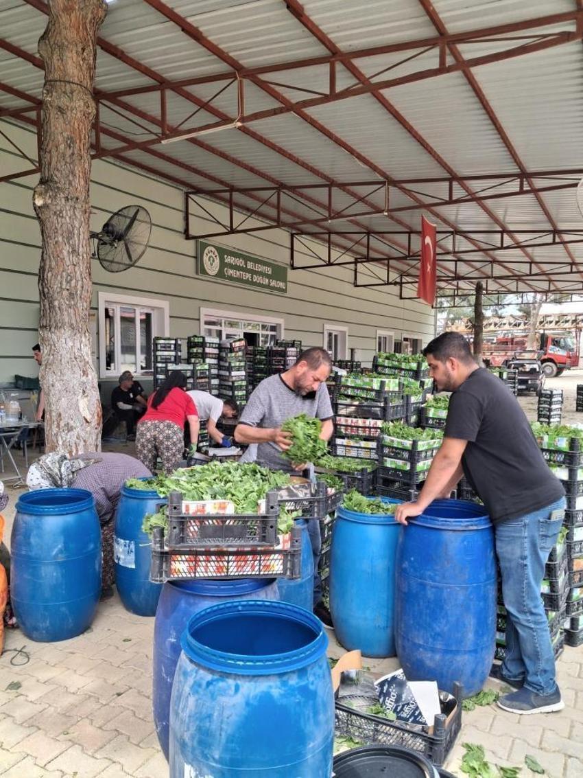 Üzümden önce parası geldi: Manisa'da kilosu 100 liradan kapış kapış gidiyor!