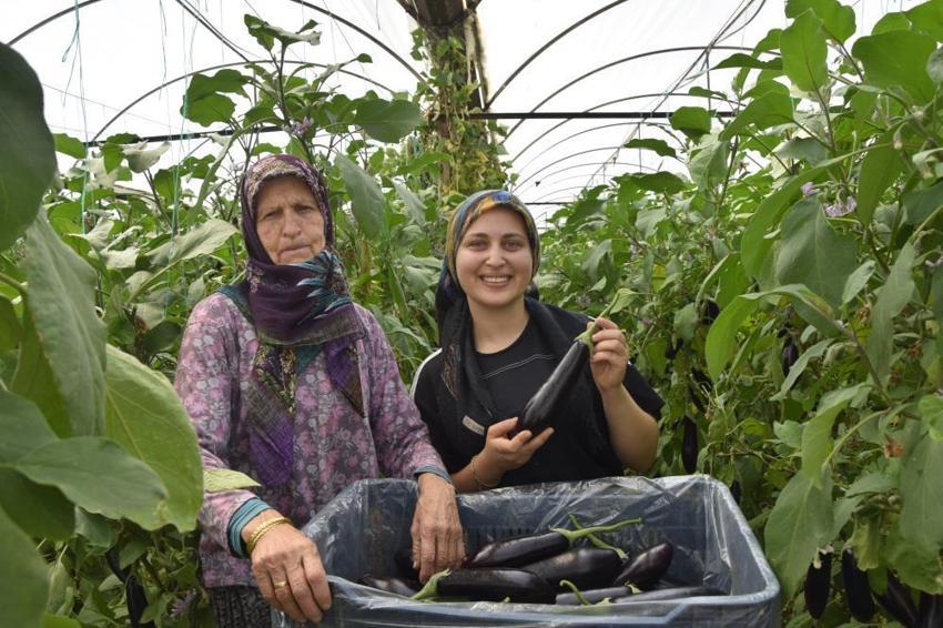 Antalya'da bereketin fotoğrafı: Üç kuşak beraber üretiyor! Aile ekonomisini ayakta tutuyorlar