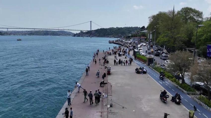 İstanbul'da sahil noktalarında görüldü: Herkes oraya koştu