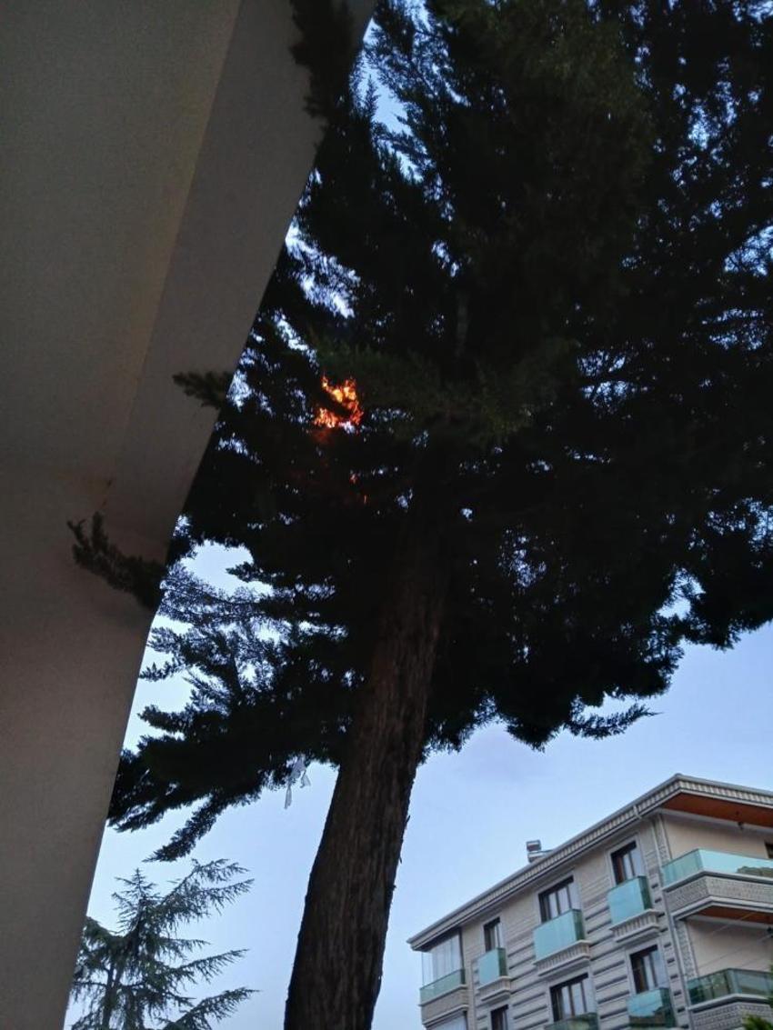 Keçiören'de ilginç ağaç yangını! İtfaiye 'tehlike yok' dedi, birkaç saat sonra binaya sıçradı
