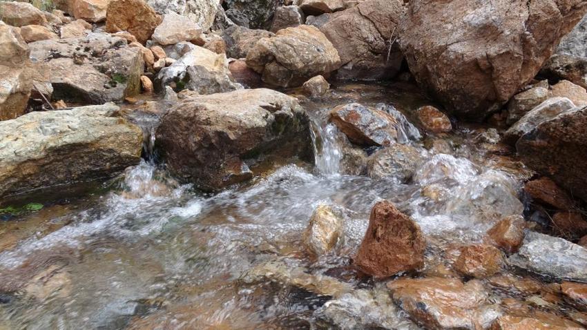 Malatya'da 25 yıl sonra bir ilk! Hasat öncesi görenler gözlerine inanamadı: Üreticinin yüzü gülüyor