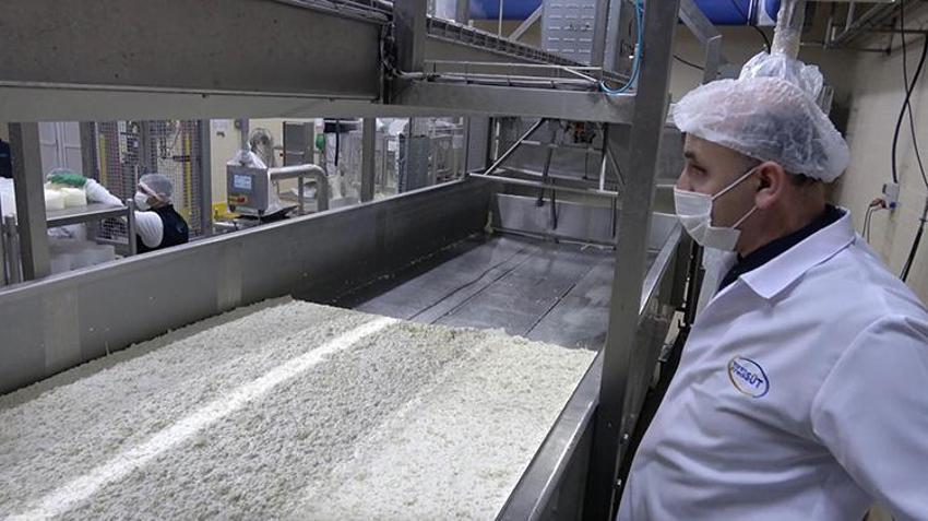 Erzincan'da günlük 45 bin litre süt peynir ve tereyağına dönüşüyor: Bin 200 çiftçiye gelir sağlıyor!
