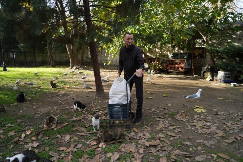 İstanbul’un 'vakıf' kedileri: 600 yıllık merhamet mirası cami avlularında yaşıyor